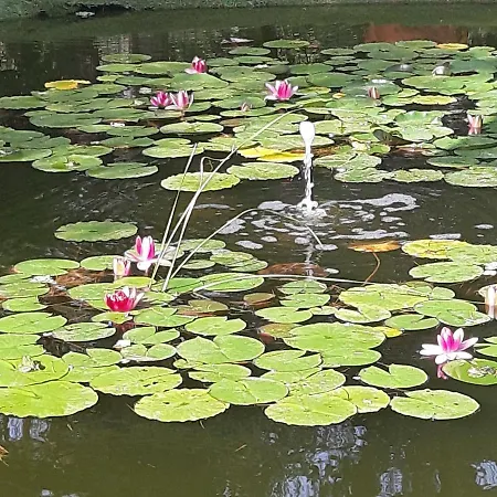 Cassero Appartamento