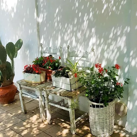 Apartment Cassero *