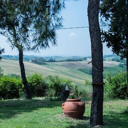 Cassero *
