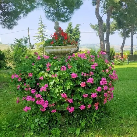 Apartment Cassero *