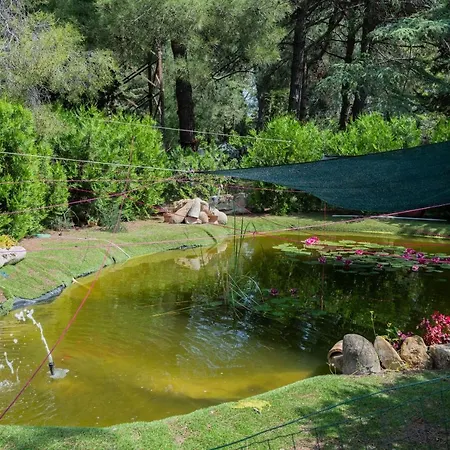 Cassero Διαμέρισμα Camerata Picena